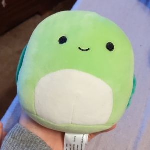 Henry turtle squishmellow